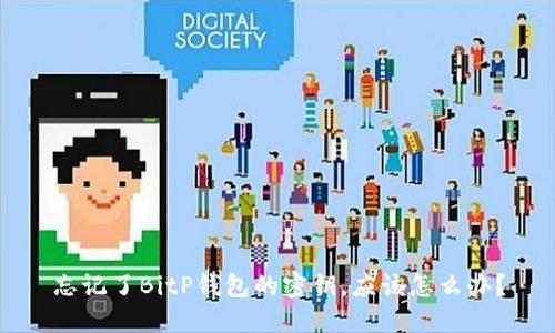 忘记了BitP钱包的密钥，应该怎么办？