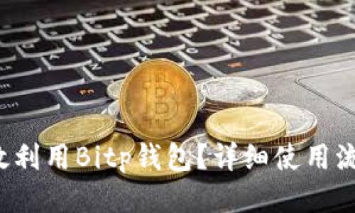 如何高效利用Bitp钱包？详细使用流程揭秘！