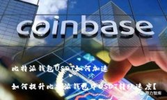 比特派钱包USDT如何加速如何提升比特派钱包中