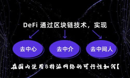 在国内使用B特派网络的可行性如何？