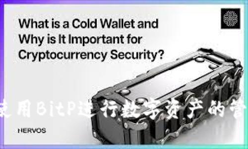 如何有效使用BitP进行数字资产的管理与交易？