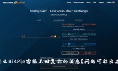 为什么BitPie客服不回复你的消息？问题可能出在