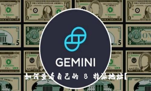 如何查看自己的 B 特派地址？