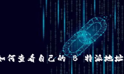 如何查看自己的 B 特派地址？
