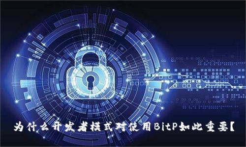 为什么开发者模式对使用BitP如此重要？