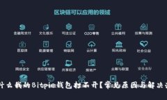 为什么我的Bitpie钱包打不开？常见原因与解决办