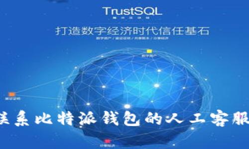 如何联系比特派钱包的人工客服电话？