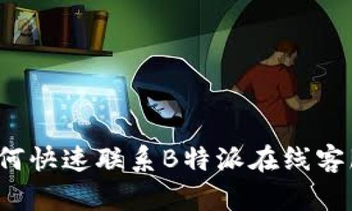 如何快速联系B特派在线客服？