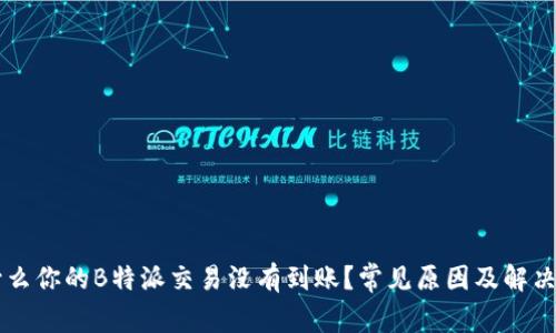 为什么你的B特派交易没有到账？常见原因及解决方法