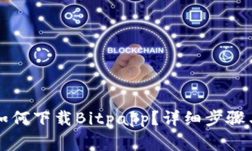 苹果手机如何下载Bitpapp？详细步骤与注意事项