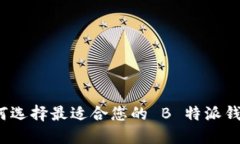 如何选择最适合您的 B 特派钱包？