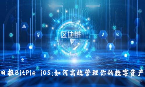 日报BitPie iOS：如何高效管理你的数字资产？