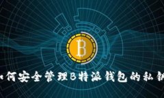 如何安全管理B特派钱包的私钥？