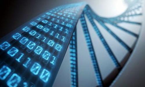 特派钱包是最近在数字货币领域引起关注的一款钱包，但它到底是不是以太坊钱包呢？我们来深入探讨一下这个问题。

特派钱包的基本介绍

特派钱包，是一款专注于用户体验的数字货币钱包，它允许用户存储、交易和管理多种加密货币。它不仅支持主流的币种，例如比特币和以太坊，还有一些新兴的代币。因此，了解特派钱包的功能和特点，对于想要在加密市场中获得更多资讯的用户来说，是相当重要的。

以太坊钱包的作用

首先，我们需要明白以太坊钱包的角色。以太坊是一个开源的区块链平台，支持智能合约和去中心化应用（DApps）。与比特币不同，以太坊不仅仅是数字货币，它还是一种可以用来创建其他代币和应用的平台。

因此，一个以太坊钱包不仅要能够存储以太币（ETH），还要能处理以太坊网络上的其他代币（如ERC-20代币）。这意味着，如果一个钱包支持以太坊，那么它应该具备存储和交易各种基于以太坊协议的代币的能力。

特派钱包是否支持以太坊

经过调查和使用体验，特派钱包实际上是支持以太坊及其相关代币的。这意味着，用户不仅可以在特派钱包中保存以太币，还可以管理基于以太坊的其他数字资产。特派钱包的用户界面，适合大多数用户，即使不太了解技术细节，也能轻松上手。

安全性与隐私保护

在选择数字货币钱包时，安全性和隐私保护是重中之重。特派钱包采取了一系列措施来保护用户的资产，例如双重身份认证、私钥离线存储等。然而，作为用户，也要对自身的资产安全负责。例如，定期备份钱包、使用复杂的密码等都是保护资金的重要手段。

用户体验与功能

特派钱包不仅注重安全性，还关注用户的使用体验。钱包内置了方便的交易功能，可以让用户快速买入或卖出。在功能上，用户可以直接通过钱包参与到以太坊的DeFi项目（去中心化金融）中，进行借贷、流动性挖掘等操作。

此外，特派钱包还支持对多种货币的实时价格监控，帮助用户随时掌握市场动向。对于新用户而言，这样的功能可以大大降低他们在投资时的心理压力。

社区与支持

特派钱包拥有一个活跃的用户社区，用户在使用过程中有任何疑问，都可以得到及时的支持。官方团队也会定期更新软件，以提升性能和安全性。因此，选择一个有良好支持和更新机制的钱包，是保护资产安全的一种有效方式。

如何使用特派钱包进行以太坊交易

使用特派钱包进行以太坊交易，步骤其实很简单。首先，下载并安装特派钱包app，创建账户后进行身份验证。接下来，你就可以添加以太币作为你的资产，或者将其他支持的代币导入钱包。

在界面上，你可以看到“发送”和“接收”两个主要功能。选择“接收”后，你会看到你的钱包地址，可以通过这个地址让其他人转账给你。而选择“发送”后，把对方的地址和转账金额输入就可以完成交易了。

总结

总的来说，特派钱包确实是一个支持以太坊及多种加密货币的钱包。它凭借良好的安全性、用户体验以及支持多种币种的特性，受到了用户的广泛欢迎。不过，在使用任何加密货币钱包时，用户自身的安全意识保持是非常重要的。因此，在享受数字货币带来的便利同时，也要时刻保持警惕，保护好自己的资产。

常见问题解答

在这一部分，我们来快速回答一些用户常见的问题，让你更全面地了解特派钱包。

特派钱包提供哪些加密货币支持？  
特派钱包支持多个主流加密货币，比如比特币、以太坊以及一些ERC-20代币。

特派钱包安全吗？  
特派钱包注重用户资产安全，提供多重安全措施。但用户自己也要做好安全防护。

如何导入我的其他钱包？  
在钱包设置中，有“导入钱包”选项，按照提示输入助记词或私钥，即可成功导入。

特派钱包支持哪些平台？  
目前特派钱包可以在iOS和Android平台上使用，用户可以方便地在手机上管理自己的资产。

特派钱包的费用如何？  
特派钱包在转账时会收取一定的网络手续费，具体费用会根据网络拥堵程度而变化。

希望通过这篇文章能够帮助你更好地理解特派钱包以及它与以太坊的关系，让你在数字货币的世界里畅行无阻。

b特派钱包是以太坊钱包吗？