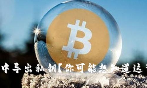 如何从BitP中导出私钥？你可能想知道这背后的秘密！