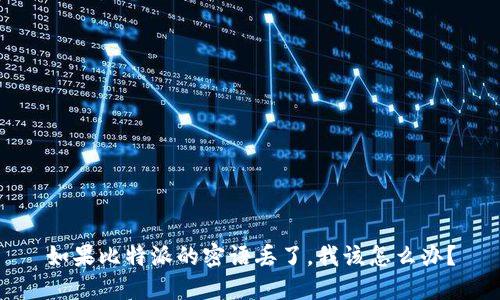 如果比特派的密语丢了，我该怎么办？