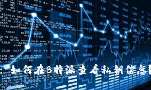 : 如何在B特派查看私钥信息？