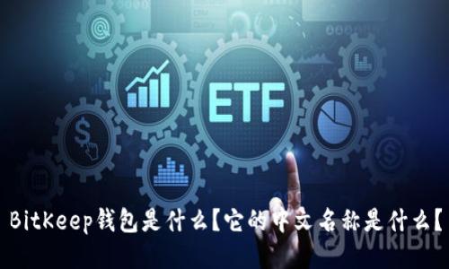 BitKeep钱包是什么？它的中文名称是什么？