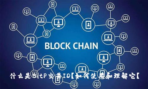 什么是BitP交易ID？如何使用和理解它？