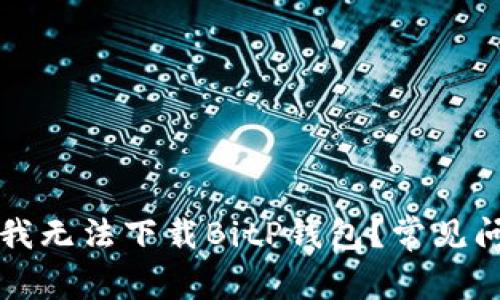 为什么我无法下载BitP钱包？常见问题解答