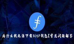 为什么我无法下载BitP钱包？常见问题解答