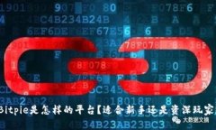 Bitpie是怎样的平台？适合新手还是资深玩家？