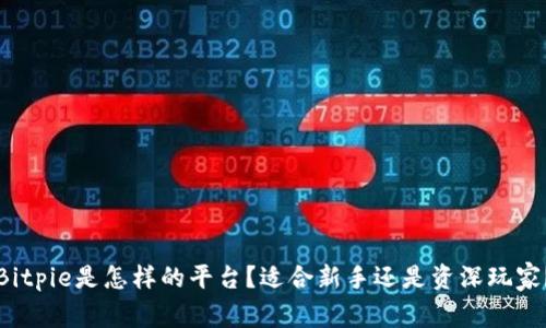 Bitpie是怎样的平台？适合新手还是资深玩家？