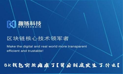 BK钱包突然瘫痪了？背后到底发生了什么？