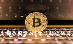 BitP是哪个国家的？你了解它的背景吗？