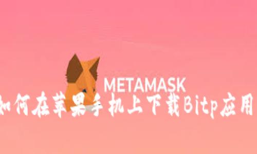 如何在苹果手机上下载Bitp应用？