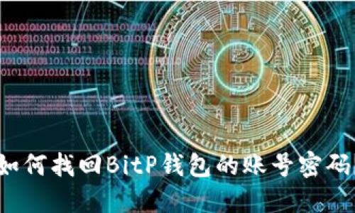 如何找回BitP钱包的账号密码？
