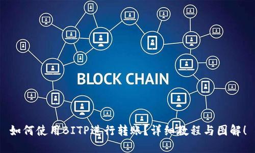 如何使用BITP进行转账？详细教程与图解！