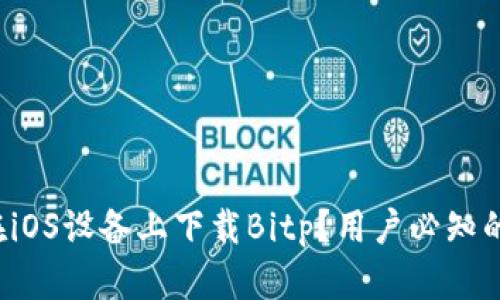如何在iOS设备上下载Bitp？用户必知的指南！