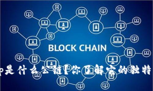 BitKeep是什么公链？你了解它的独特之处吗？