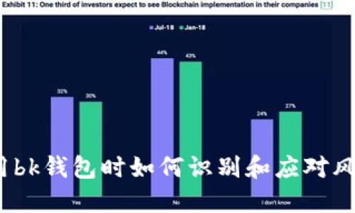 使用bk钱包时如何识别和应对风险？