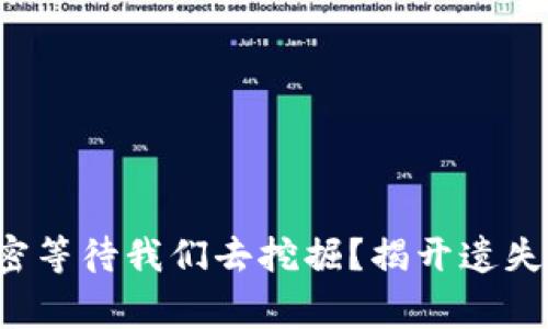 遗失的宝藏与区块链游戏有什么秘密等待我们去挖掘？揭开遗失的宝藏：区块链游戏背后的神秘故事