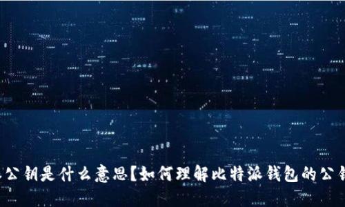 比特派公钥是什么意思？如何理解比特派钱包的公钥作用？