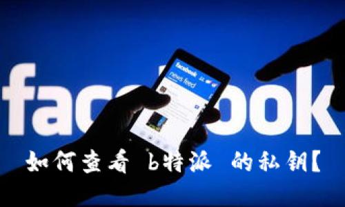 如何查看 b特派 的私钥？