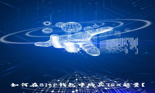 如何在BitP钱包中购买TRX能量？