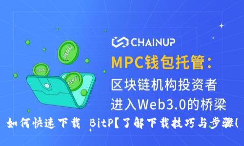 如何快速下载 BitP？了解下载技巧与步骤！