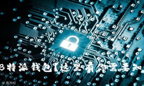 怎么找回B特派钱包？这里有你需要知道的一切！