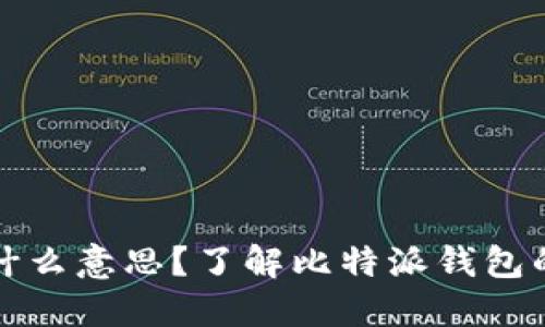 比特派钱包私钥是什么意思？了解比特派钱包的安全性与使用技巧