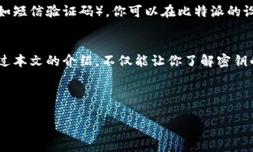 比特派密钥的设置对于确保用户资产的安全至关重要。如果你是比特派的用户，可能会对如何设置或者找到这些密钥感到困惑。接下来将详细介绍比特派密钥的设置方法，以及一些相关知识，助你更好地管理你的数字资产。

什么是比特派密钥？
在深入探讨如何设置比特派密钥之前，我们首先得理解什么是比特派密钥。比特派是一个数字货币钱包，允许用户进行加密货币的存储和交易。密钥则是指你的账户安全的关键，它主要分为两种：**私钥**和**公钥**。

公钥相当于你的银行账号，任何人都可以看到，并用于向你转账。而私钥则是你钱包的密码，必须严格保密，任何人获取到你的私钥就可以随意花费你的资产。

如何设置比特派密钥
接下来，我们来看看如何在比特派中设置密钥。其实，整个设置过程并没有想象中复杂，以下是具体的步骤：

h4步骤一：下载和安装比特派/h4
首先，你需要确保已经在手机或电脑上下载并安装了比特派最新版本的应用。打开应用后，你将看到一个欢迎页面。

h4步骤二：创建新钱包或导入钱包/h4
如果你是新用户，可以选择“创建新钱包”。在创建过程中，应用会自动生成一串私钥和助记词，务必要在一个安全的地方记录下来。助记词可以用作钱包的恢复工具。

如果你已经有一个钱包，选择“导入钱包”，根据系统提示输入你的私钥或助记词即可。

h4步骤三：确认并设置安全选项/h4
完成钱包创建或者导入后，系统将要求你设置一些安全选项，比如设定一个强密码或启用双重身份验证。这一步是非常关键的，能有效保护你的资产安全。

密钥安全建议
现在你已经设置好了比特派密钥，接下来是一些安全建议，帮助你更好地保护密钥并保障资产安全：

h4牢记私钥和助记词的安全/h4
确保你的私钥和助记词绝对不要存储在数字设备上，尤其是联网上。可以选择手写下来并保存在安全的地方，如银行保险箱或安全的设备中。

h4定期更新密码/h4
就像你不会用一样的密码多年一样，定期更换你的钱包密码是一个明智的选择。确保密码复杂且难以猜测，避免使用与个人信息相关的内容。

h4注意网络安全/h4
在使用比特派钱包进行交易时，确保你处于安全的网络环境中，尽量避免使用公共Wi-Fi。可以使用虚拟专用网络（VPN）增加连接的安全性。

常见问题解答
在使用比特派钱包的过程中，用户们常常会遇到一些问题。以下是一些常见问题解答，希望能帮助你更好地理解比特派密钥。

h4问：如果我忘记了助记词，是否可以找回我的钱包？/h4
答：如果没有助记词和私钥，那么你的资产将是无法恢复的。因此，建议务必保留好这些信息。

h4问：我可以分享我的私钥吗？/h4
答：绝对不可以！分享你的私钥将使得任何人都能访问和控制你的钱包资产。

h4问：什么是双重身份验证，如何使用？/h4
答：双重身份验证是一种额外的安全措施，它通常要求在登录时输入除密码外的第二层信息（如短信验证码）。你可以在比特派的设置中启用此功能，进一步保护你的账户安全。

总结
设置比特派密钥的过程虽然看似繁琐，但只要按照这些步骤一步步来，就能轻松完成。希望通过本文的介绍，不仅能让你了解密钥的设置过程，同时也能引起你对安全管理的重视。毕竟，数码时代，安全始终是第一位的。

记住，保护好你的密钥，维护好你的资产安全，数字资产的未来在你的手中！

比特派密钥如何设置？保护数字资产的最佳方法