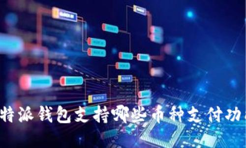 比特派钱包支持哪些币种支付功能？