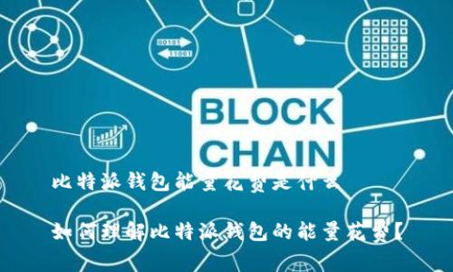 比特派钱包能量花费是什么

如何理解比特派钱包的能量花费？