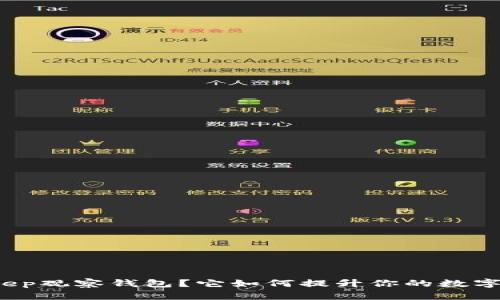 什么是Bitkeep观察钱包？它如何提升你的数字资产安全性？