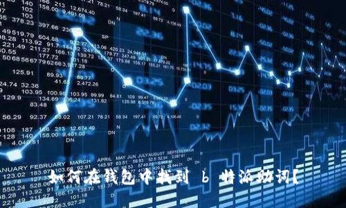 如何在钱包中找到 b 特派助词？