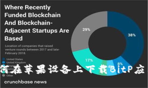 如何在苹果设备上下载BitP应用？