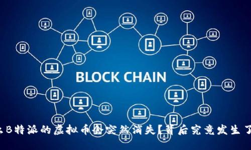 为什么B特派的虚拟币会突然消失？背后究竟发生了什么？