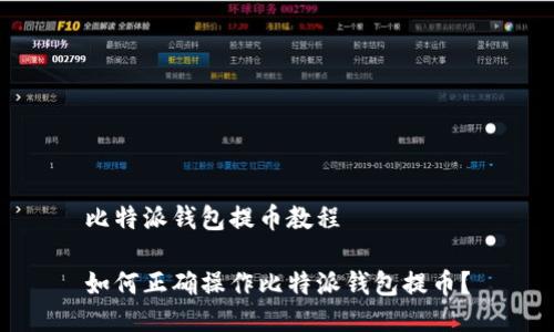 比特派钱包提币教程

如何正确操作比特派钱包提币？